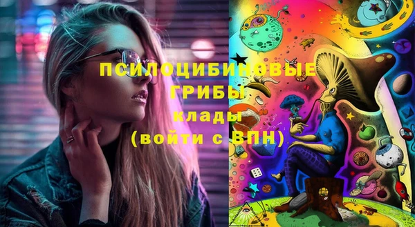 дживик Волоколамск