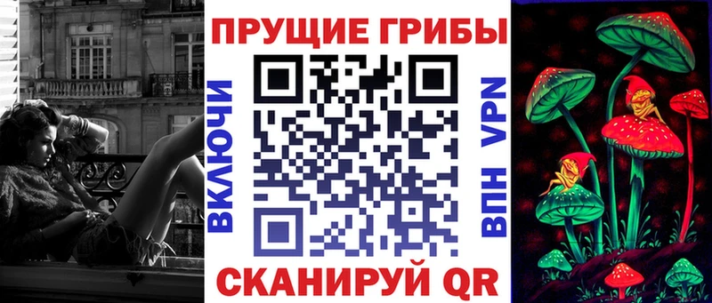 mega как войти  Вичуга  Галлюциногенные грибы Psilocybe  магазин  наркотиков 